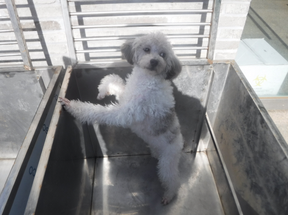 제주 동물보호센터_450650202301446
