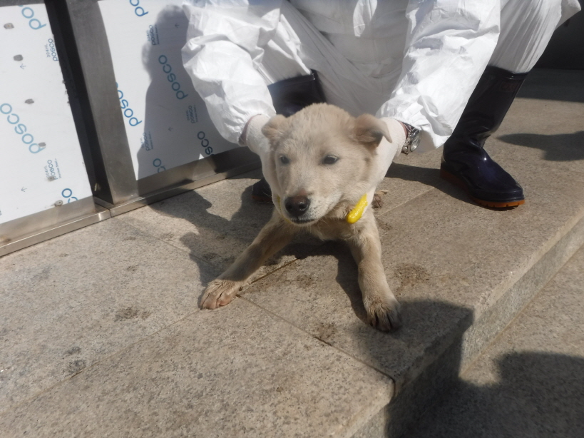 제주 동물보호센터_450650202301437
