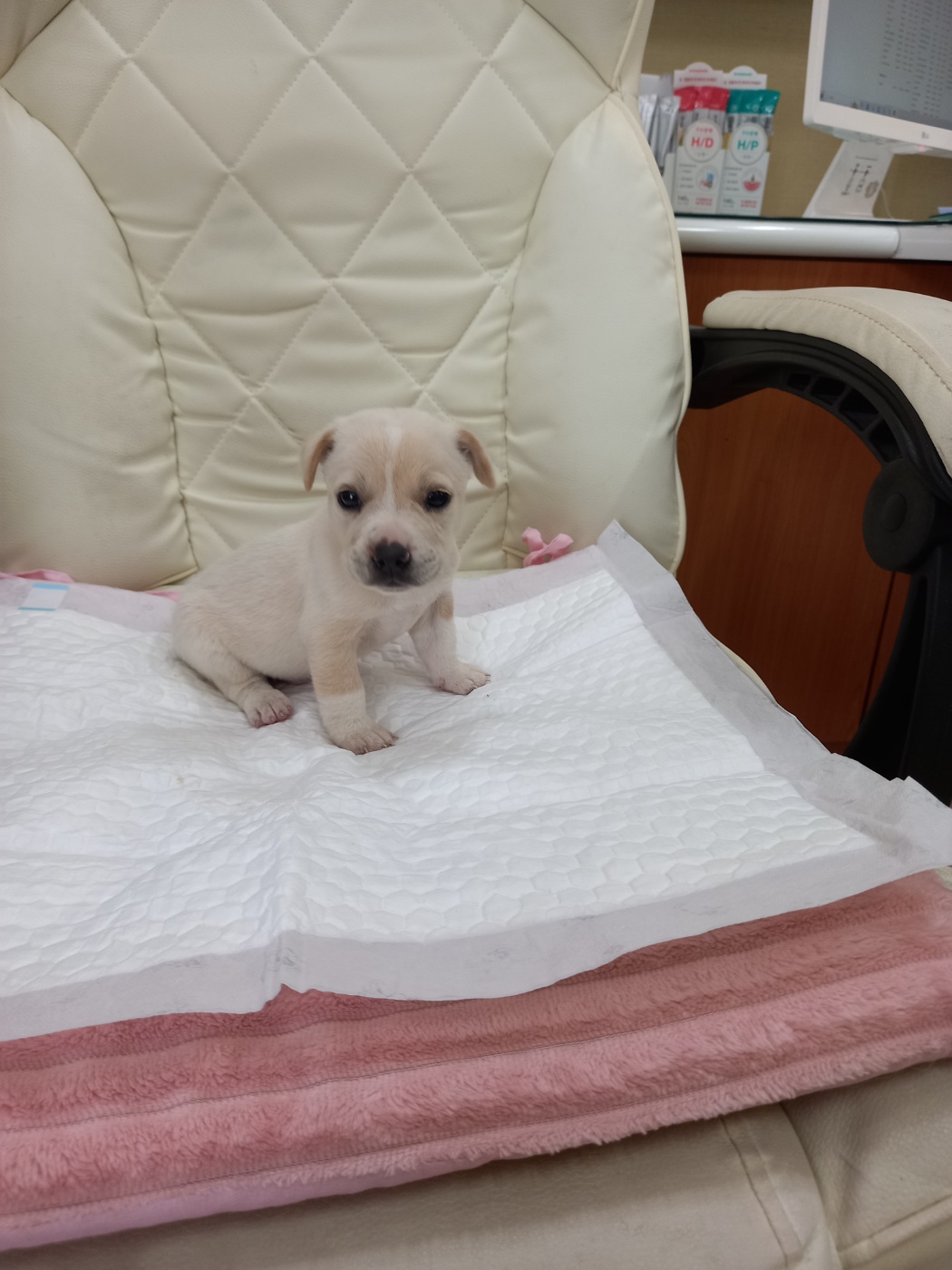 증평동물보호소_443557202300016