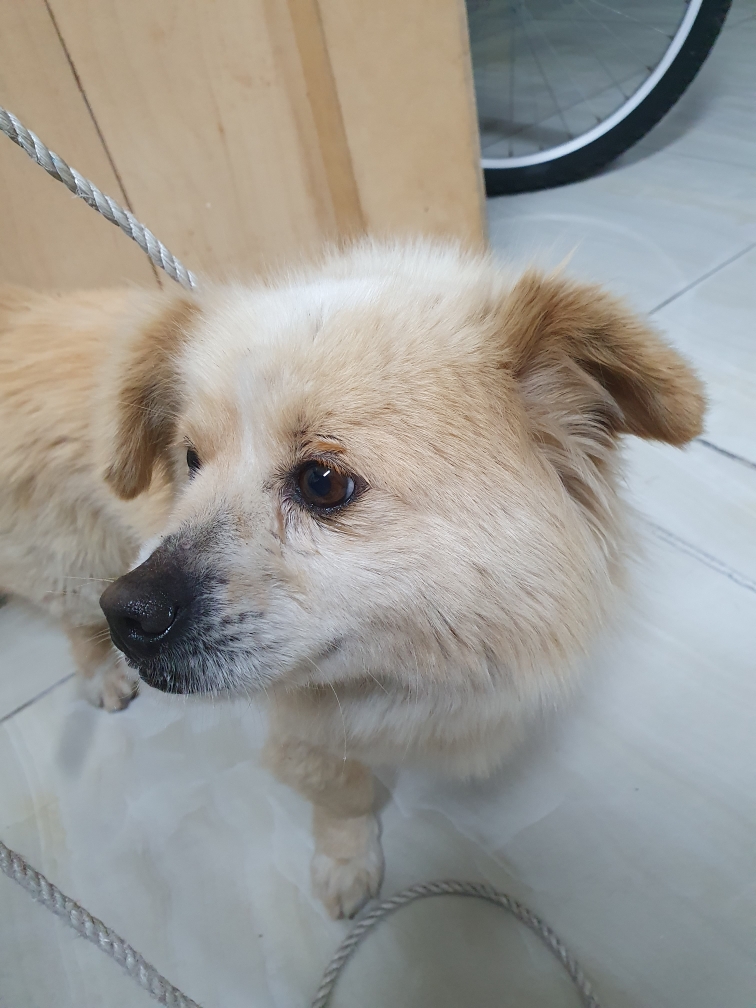 최종주동물병원_443444202300244