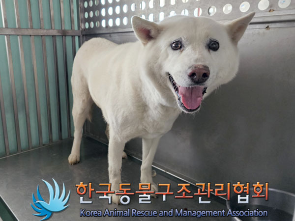 한국동물구조관리협회_441560202300444
