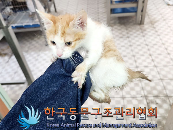 한국동물구조관리협회_411315202300301