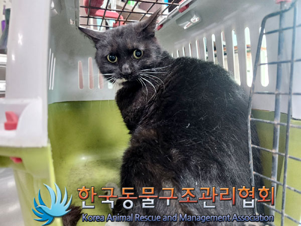 한국동물구조관리협회_411305202300186