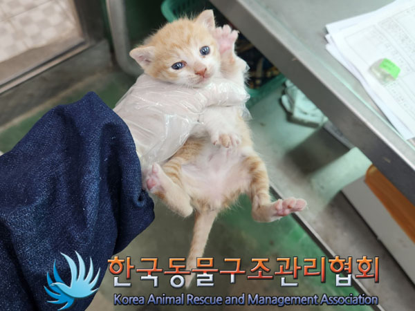 한국동물구조관리협회_411322202300277