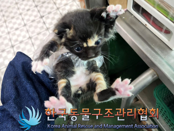 한국동물구조관리협회_411322202300282
