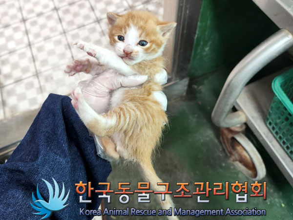 한국동물구조관리협회_411322202300280