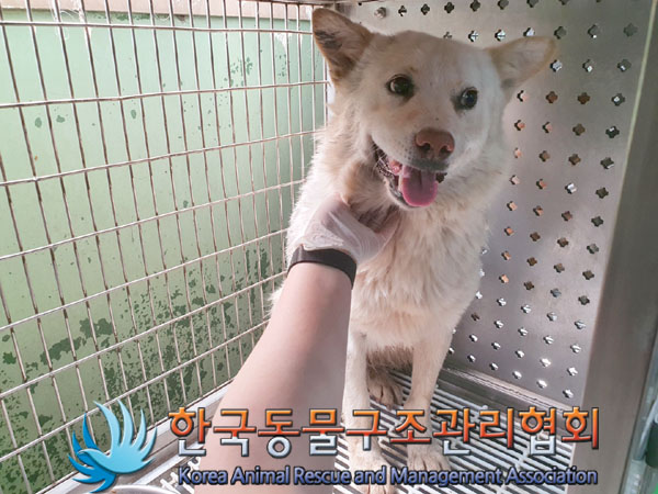 한국동물구조관리협회_441409202300664