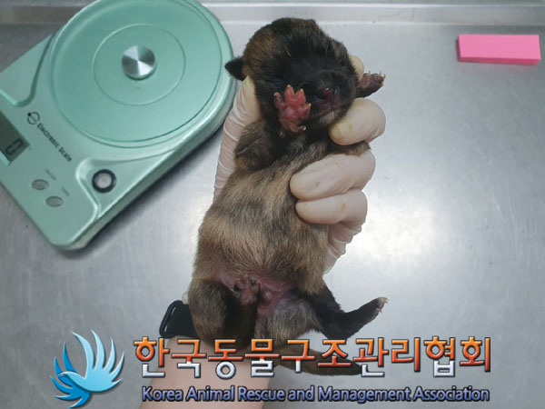 한국동물구조관리협회_441560202300449