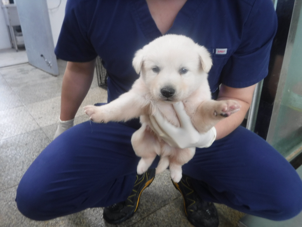 제주 동물보호센터_450650202301457