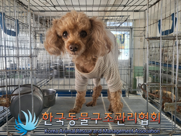 한국동물구조관리협회_411306202300312