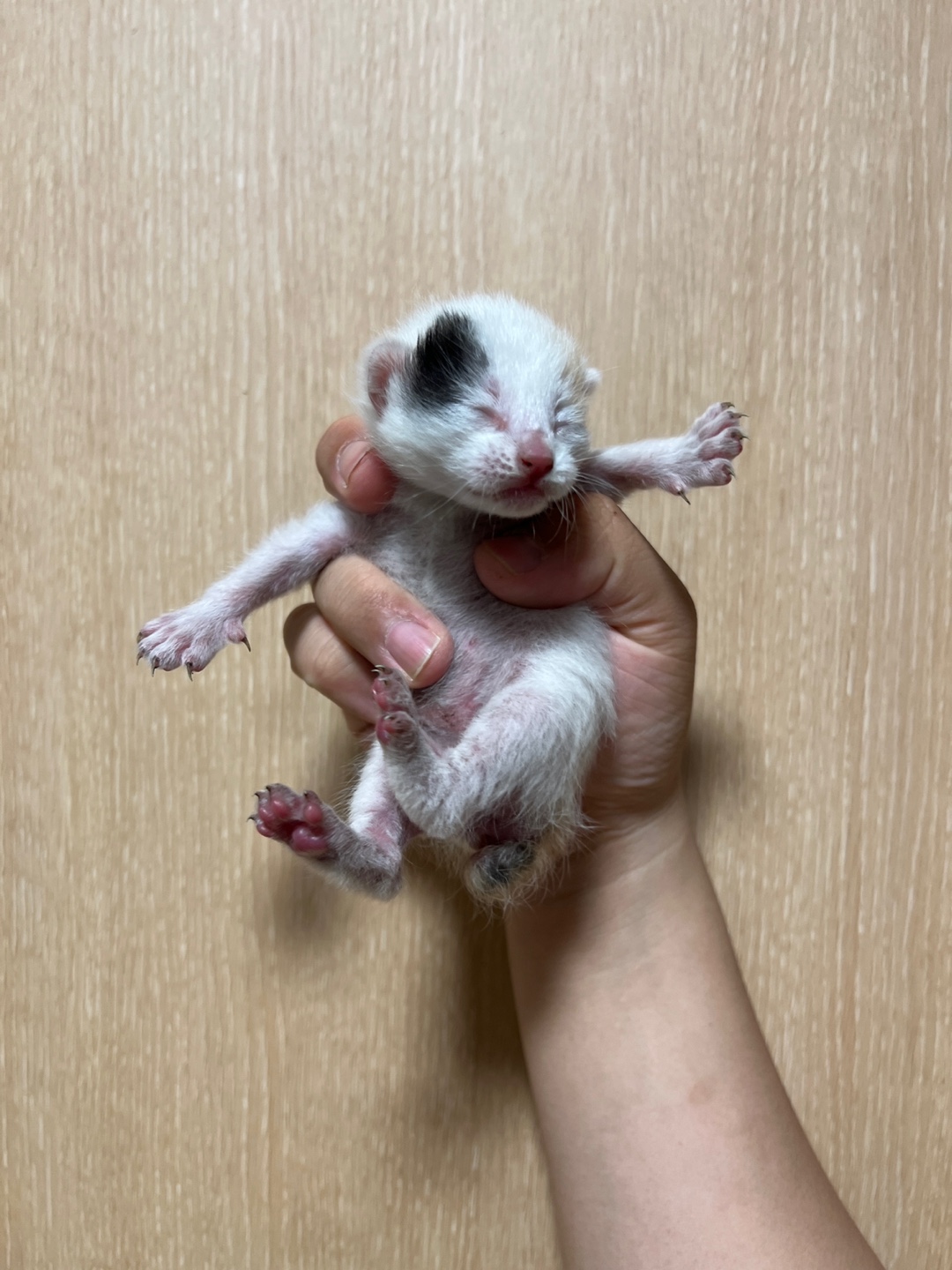 부산동물보호센터_426332202300149