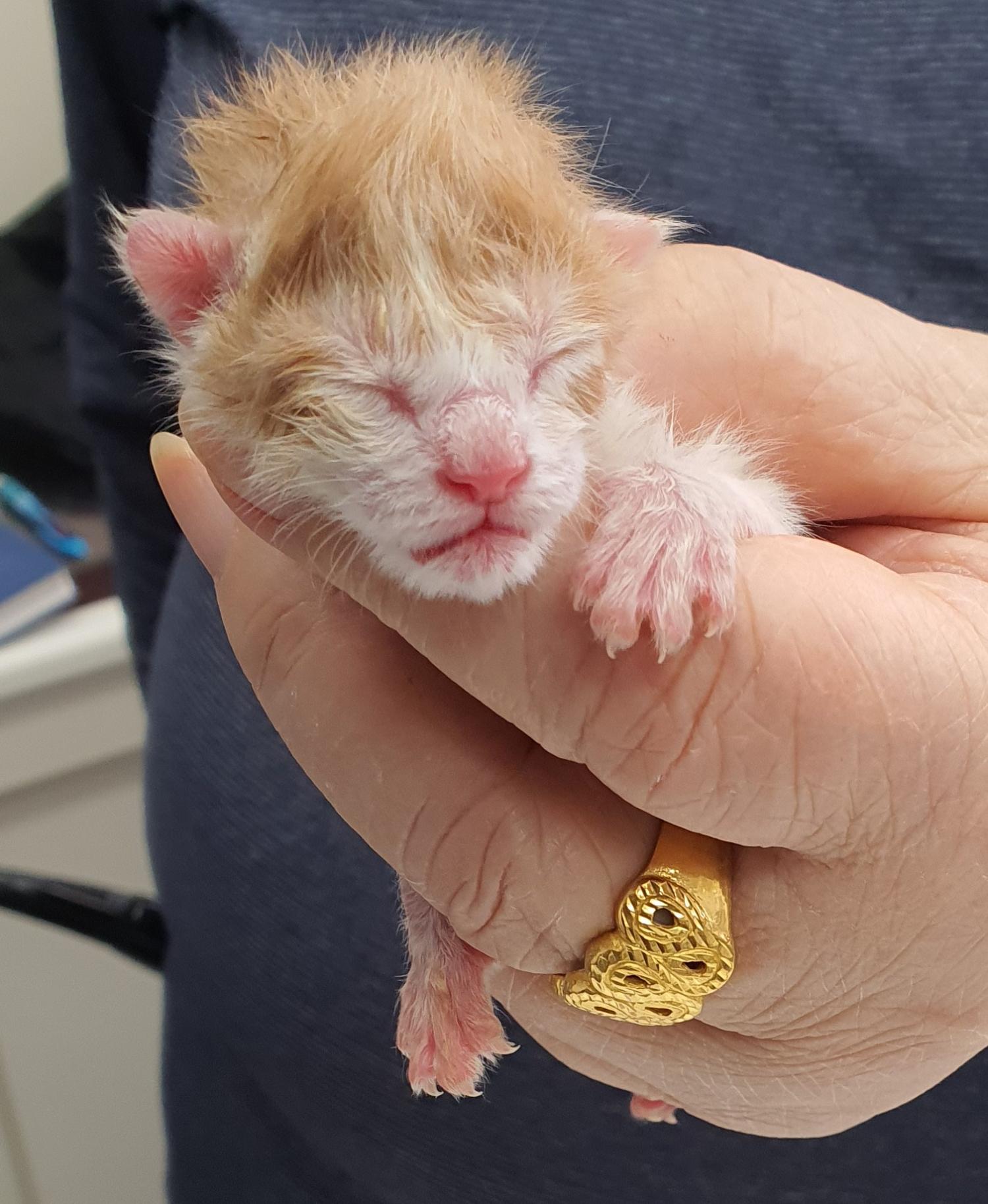 베스트동물병원_428357202300366