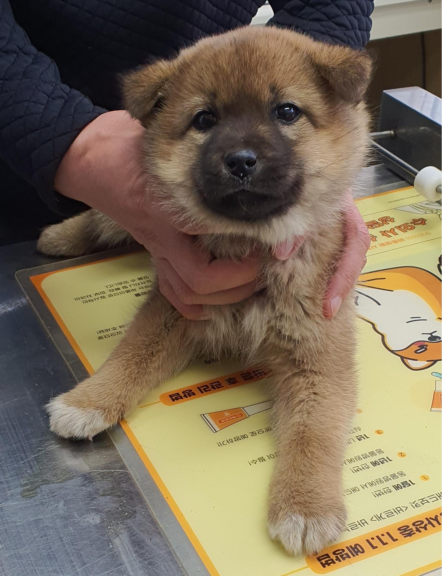 베스트동물병원_428357202300374