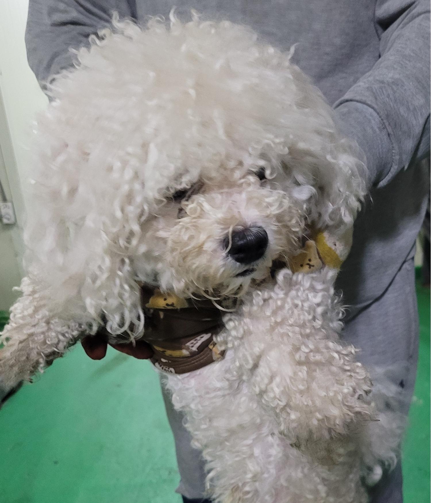 대구유기동물보호협회_427345202300266