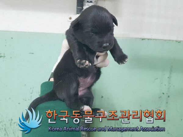 종료(자연사) 믹스…