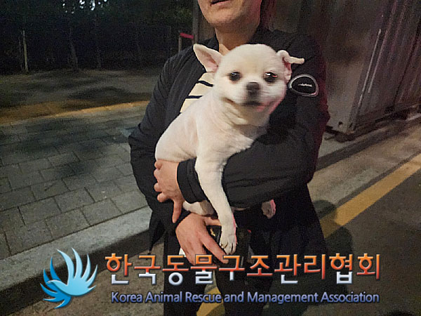 한국동물구조관리협회_411306202300325