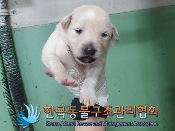 종료(자연사) 믹스…