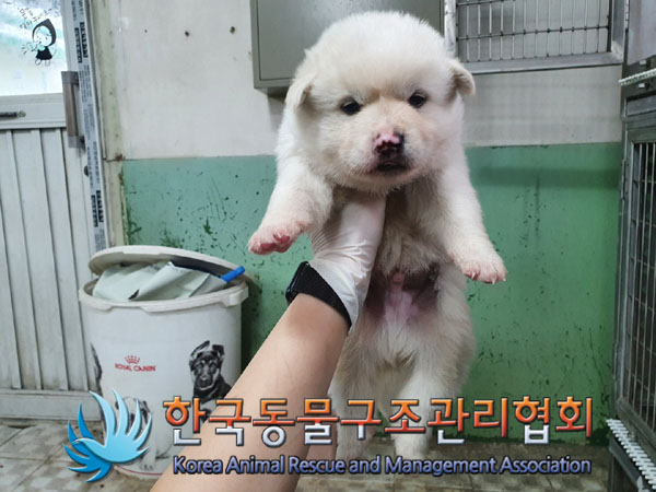 한국동물구조관리협회_411315202300304