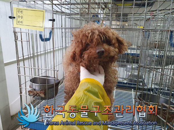 한국동물구조관리협회_411323202300349