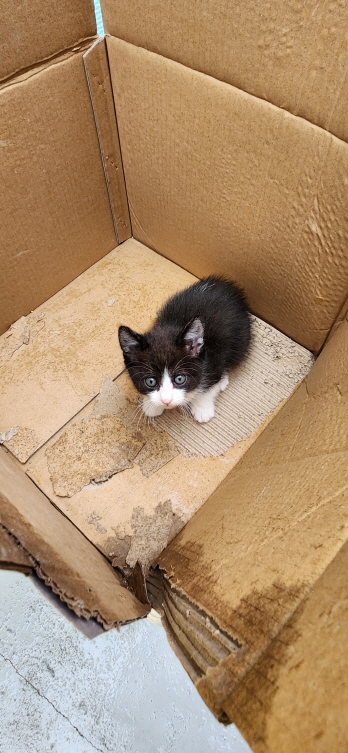 익산유기동물보호소_445468202300924