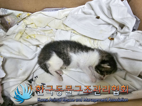 종료(자연사) 한국…