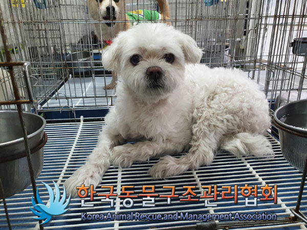 한국동물구조관리협회_411309202300172