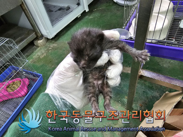 한국동물구조관리협회_411303202300178