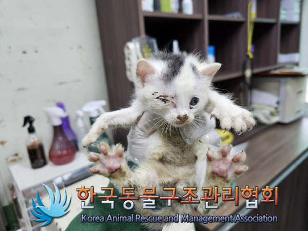 한국동물구조관리협회_441409202300669