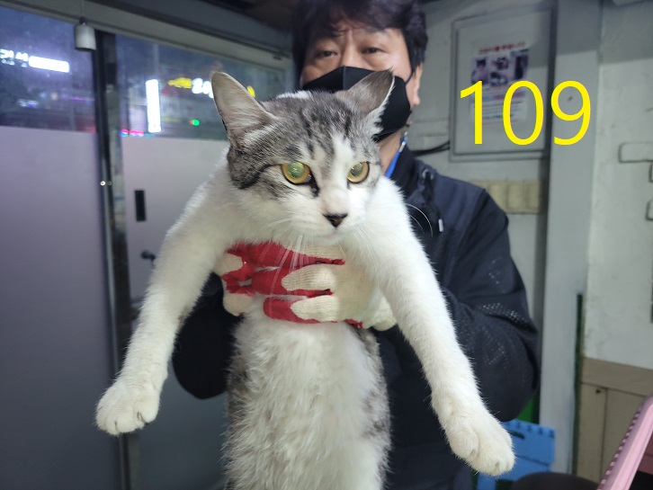 신영재동물병원_428355202300194