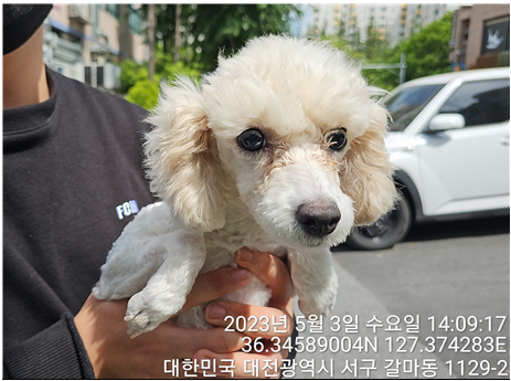 대전동물보호센터_430366202300270
