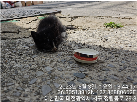 대전동물보호센터_430366202300269