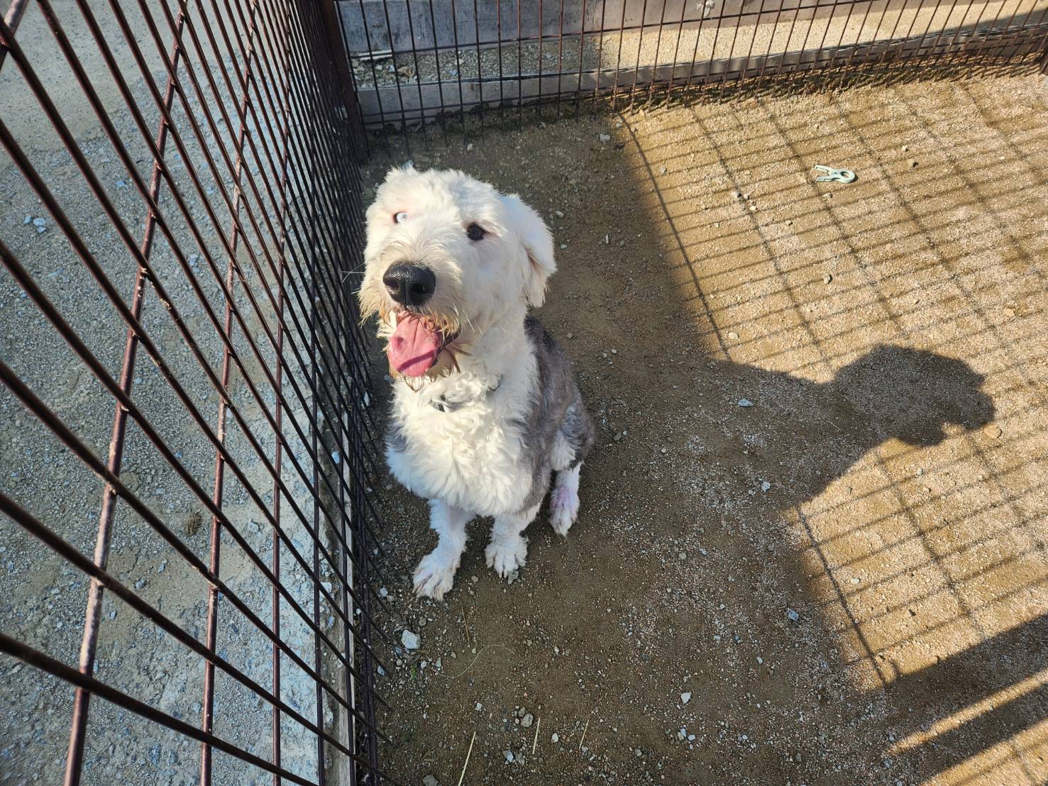 한국야생동물보호협회_441383202300295