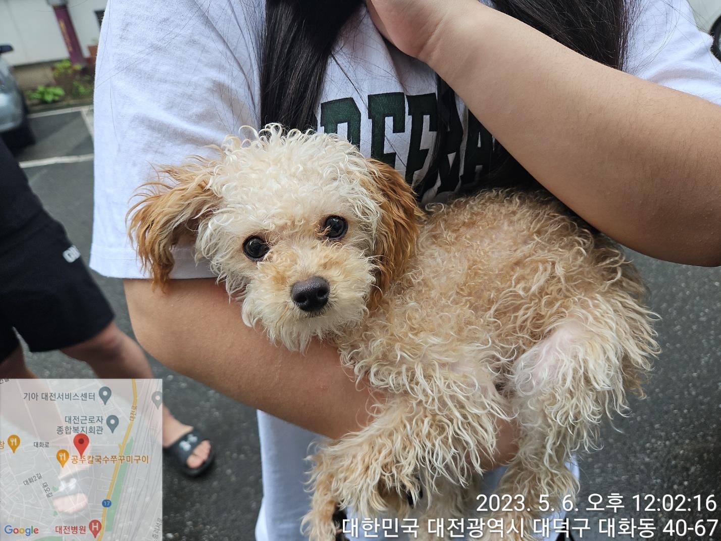 대전동물보호센터_430368202300245