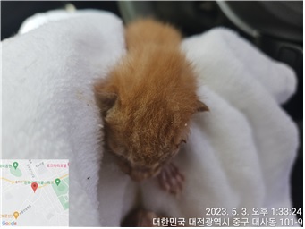 대전동물보호센터_430365202300179