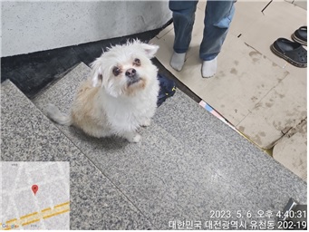 대전동물보호센터_430365202300182