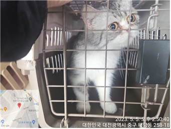 대전동물보호센터_430365202300180