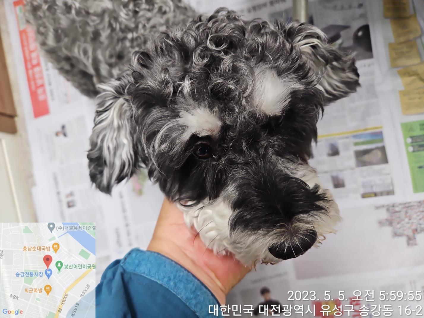 대전동물보호센터_430367202300264