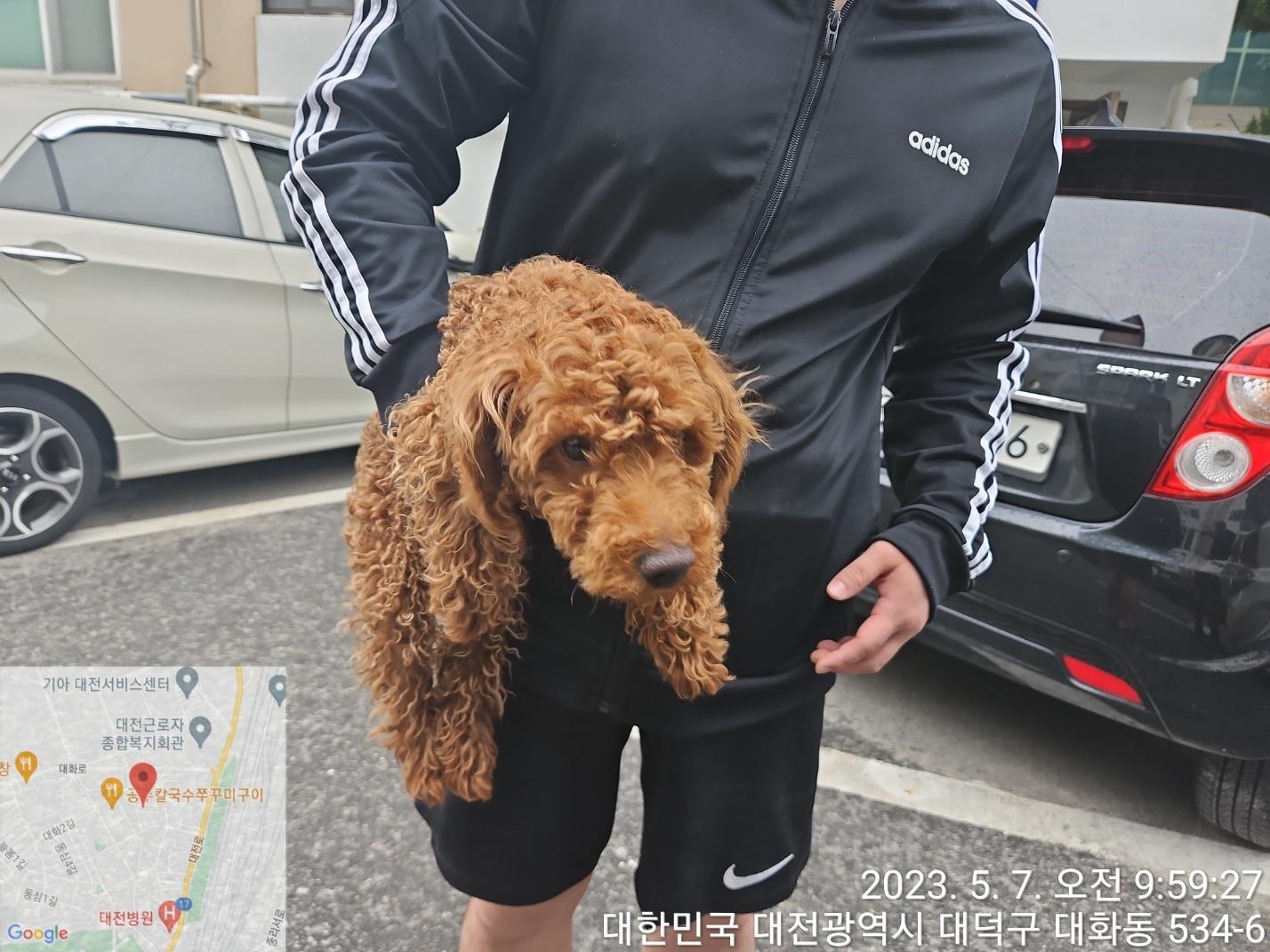 대전동물보호센터_430368202300246