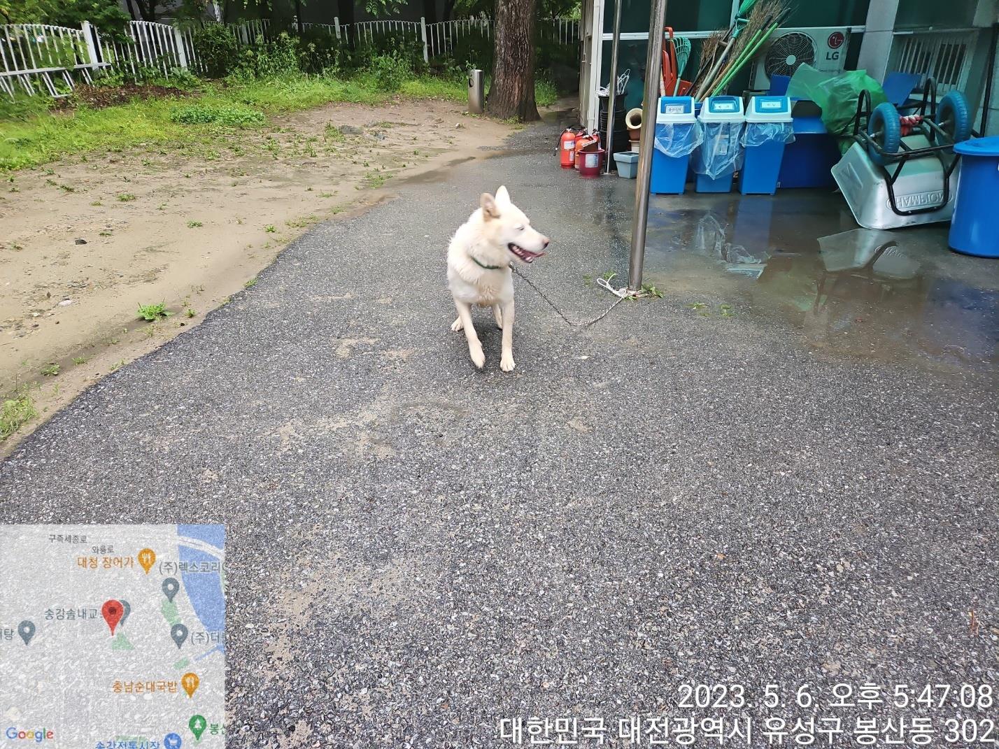 대전동물보호센터_430367202300270