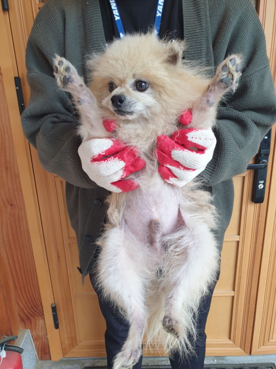 양평군유기동물보호소_441417202300264