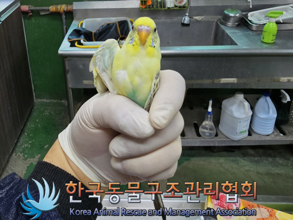 한국동물구조관리협회_411312202300285