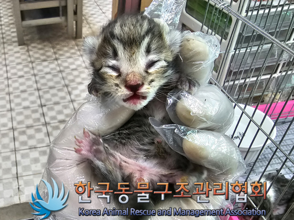 한국동물구조관리협회_411322202300311
