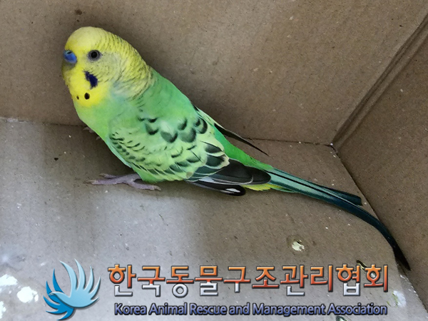 한국동물구조관리협회_411323202300363