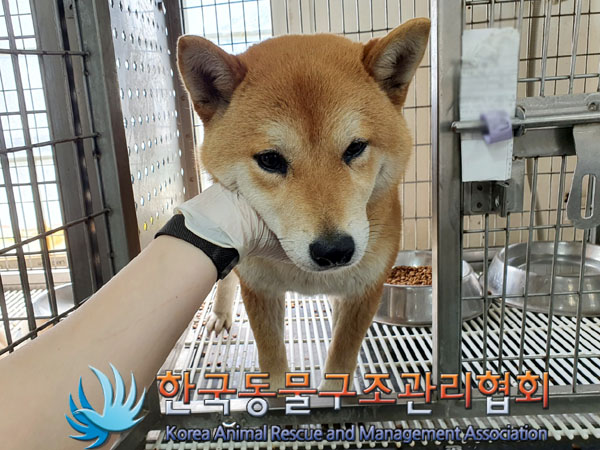한국동물구조관리협회_411301202300265
