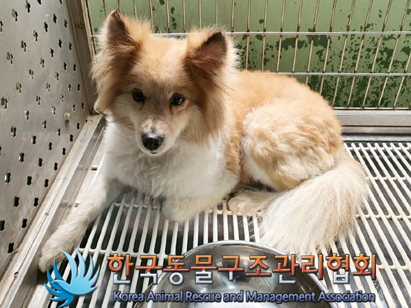 한국동물구조관리협회_411316202300297