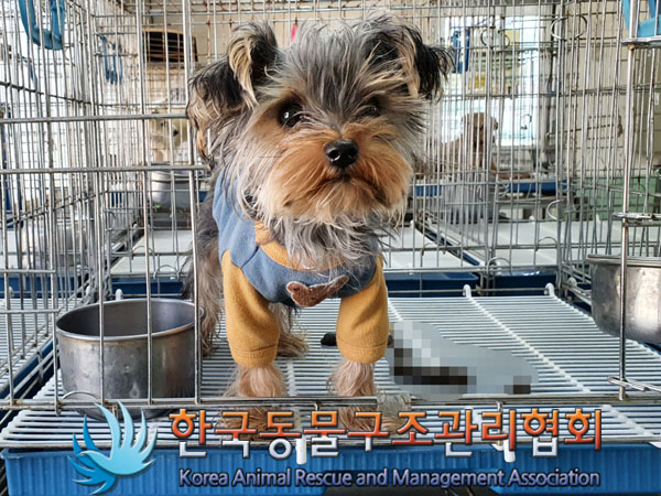 한국동물구조관리협회_411303202300180