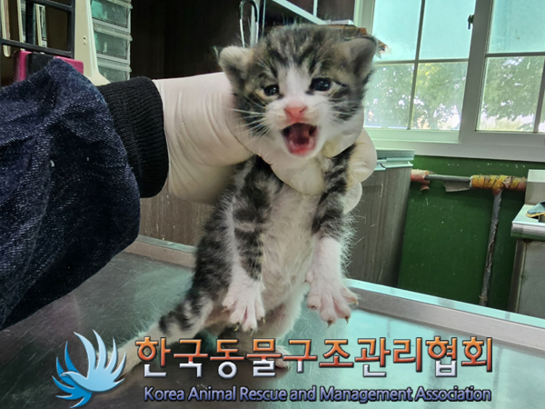 한국동물구조관리협회_411316202300296