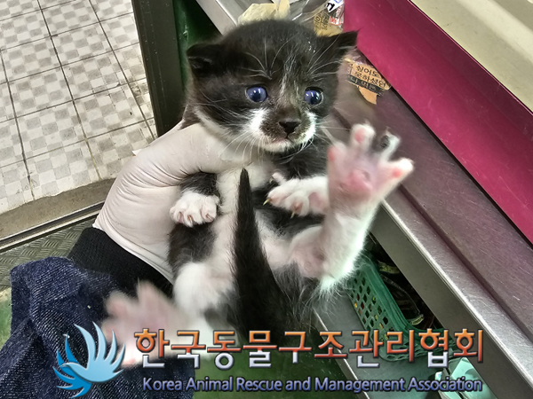 한국동물구조관리협회_411316202300295