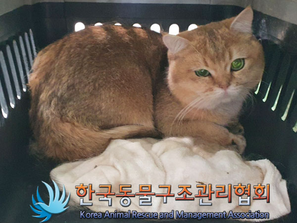 한국동물구조관리협회_411312202300284