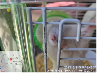 대전동물보호센터_430365202300187